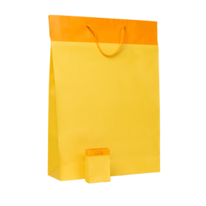 Χάρτινη Σακούλα Κίτρινη Πλαστικοποιημένη τσάντα με κορδόνι